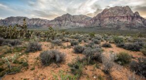 Discover Nevada Great Outdoors: Top Places to Enjoy